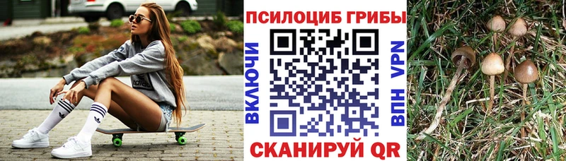 Псилоцибиновые грибы прущие грибы Югорск
